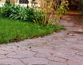 Jardin béton décoratif