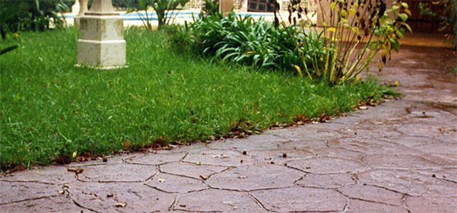 Jardin béton décoratif